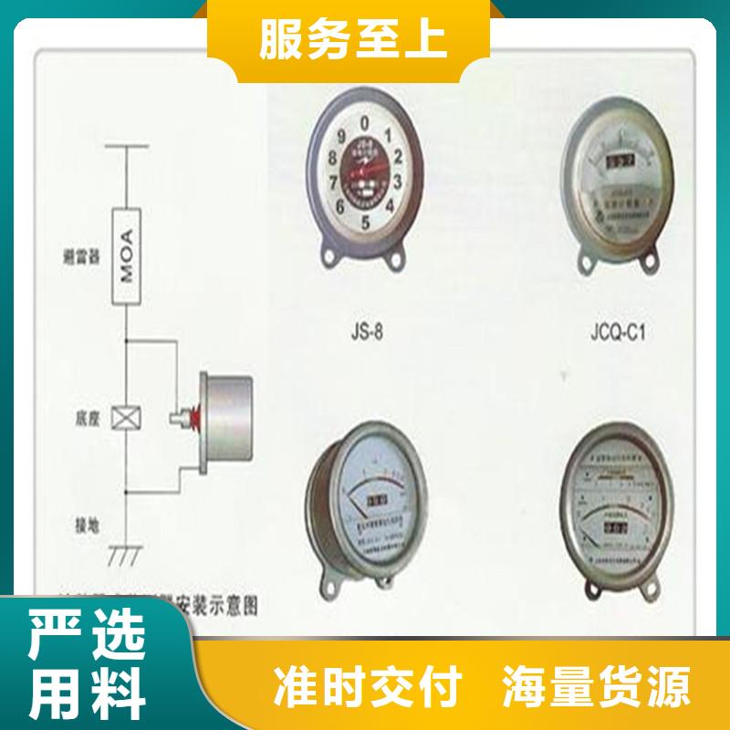 计数器氧化锌避雷器真材实料诚信经营