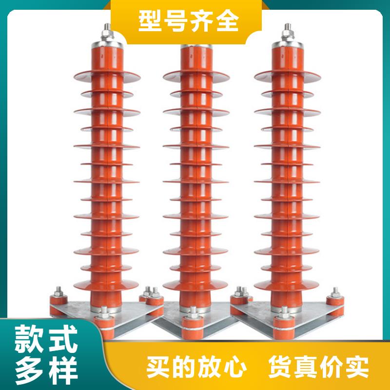 FZ2-40硅胶避雷器