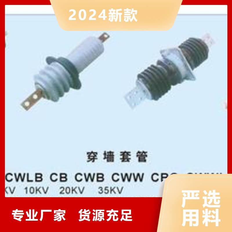 CWWL-10/2500A高压套管