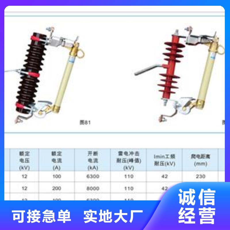 HRW10-10F/100A高压熔断器