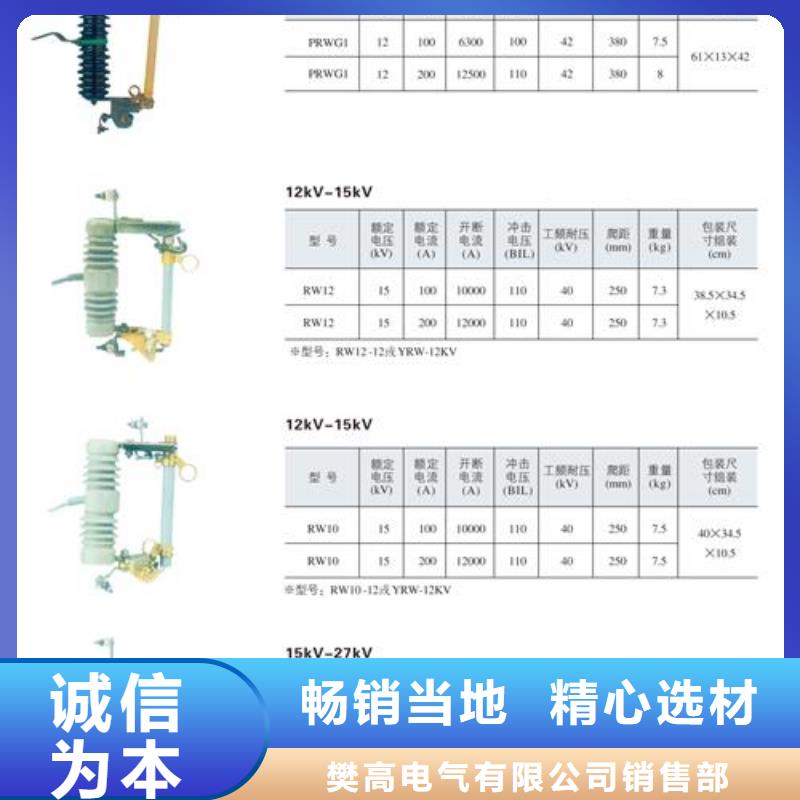 RW12-15/100跌落保险樊高