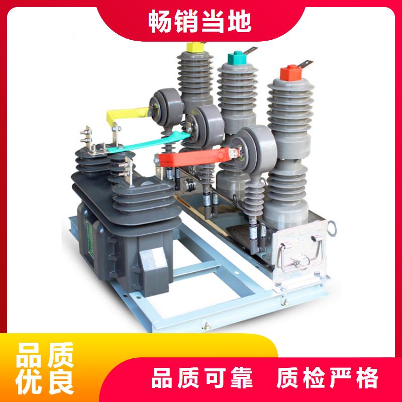 ZWM9-12/630-20型永磁真空断路器厂家