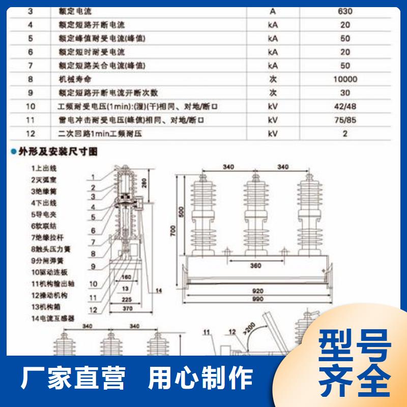 LW3-12Ⅱ/1000-20六氟化硫断路器