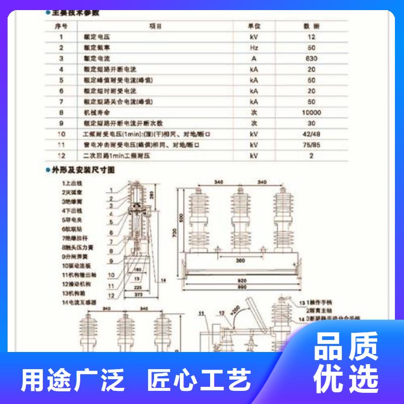 ZW32-12F/T630-20户外高压柱上开关