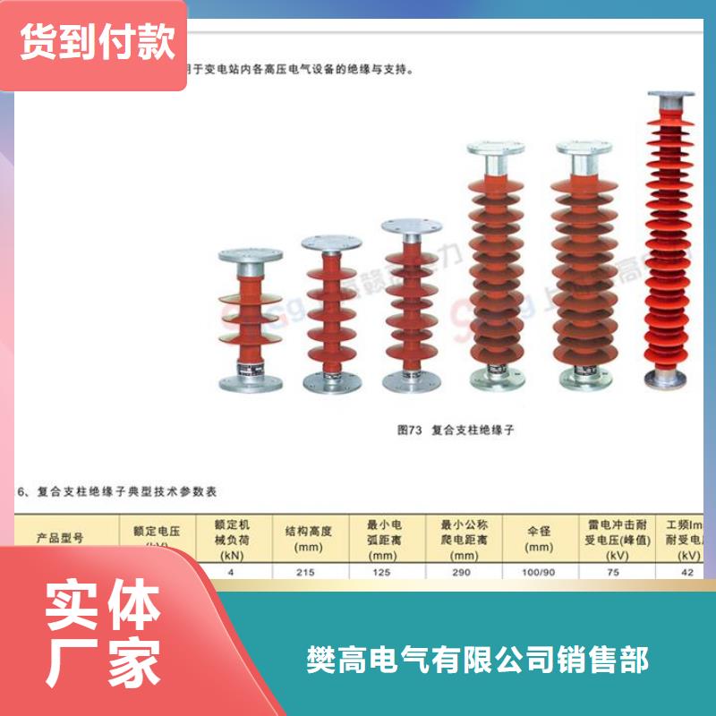 ZB-6Y支柱绝缘子