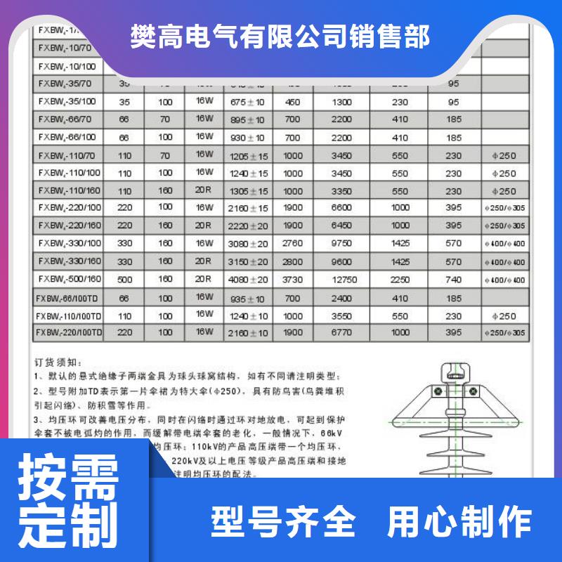 ZS2-35/400高压绝缘子陵水县