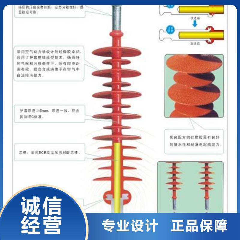 ZS2-110/400高压绝缘子樊高电气