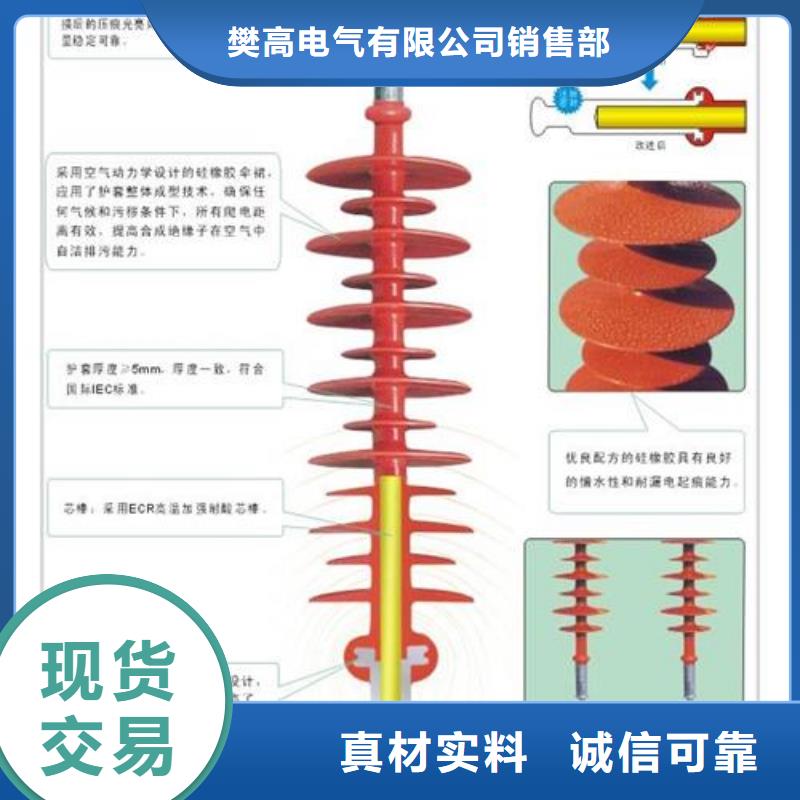 ZJ-10KV/85*140高压绝缘子