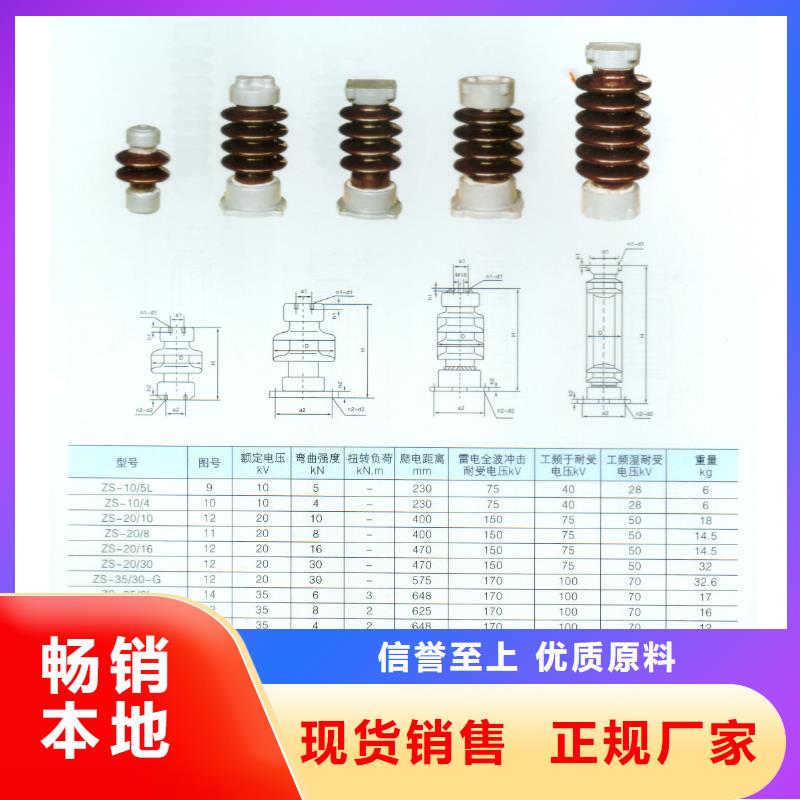 ZB-6Y支柱绝缘子