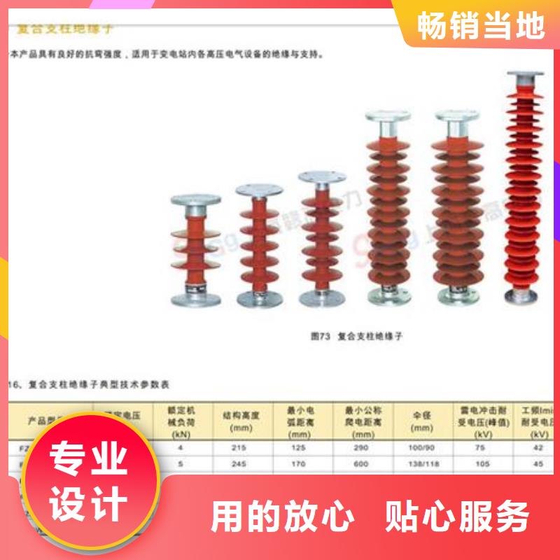 ZS2-35/400高压绝缘子陵水县