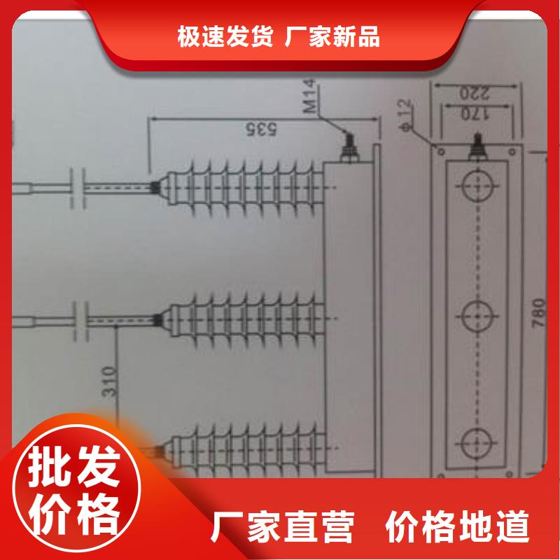 TBP-B-7.6F/100W1三相组合式避雷器