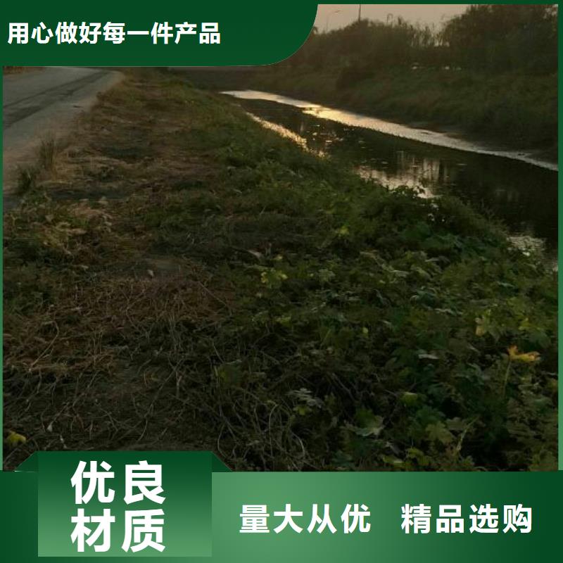 污泥改性剂土壤固化剂污泥改性剂加工