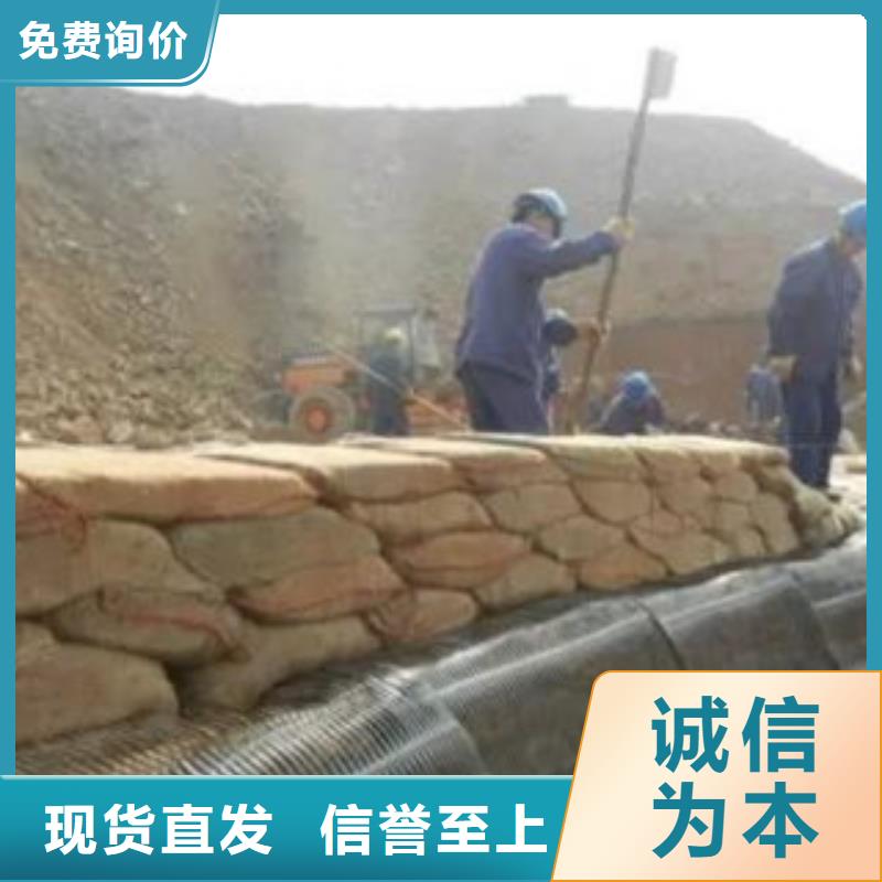 单向塑料格栅复合土工布源头工厂量大优惠