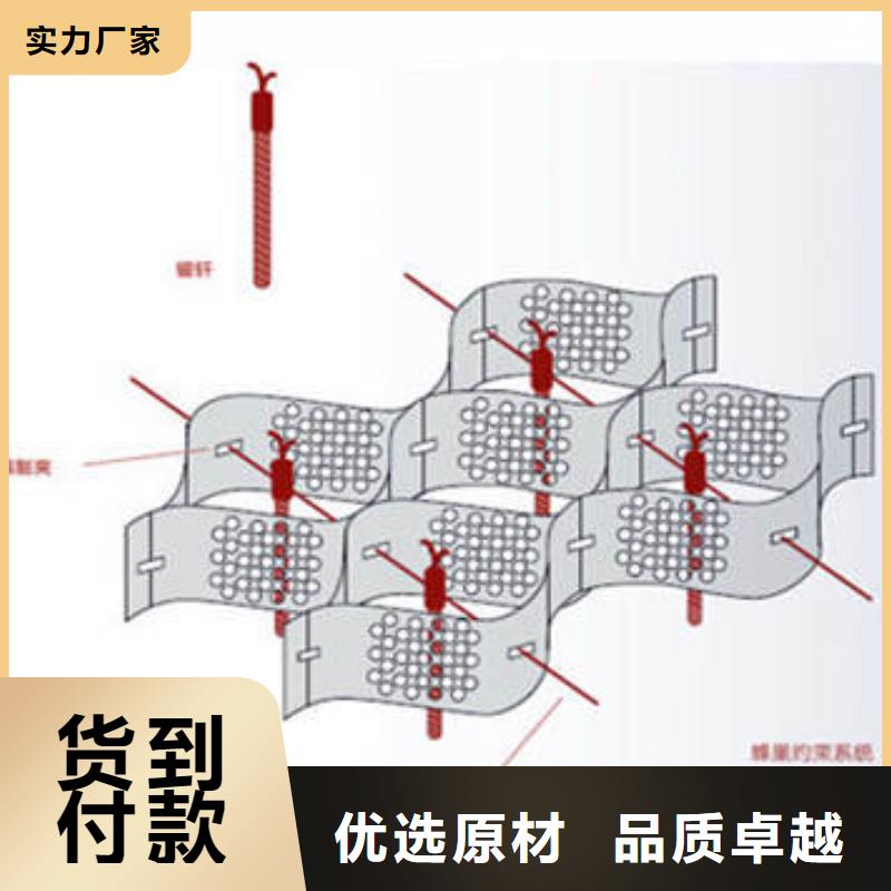 【蜂巢格室品质之选】