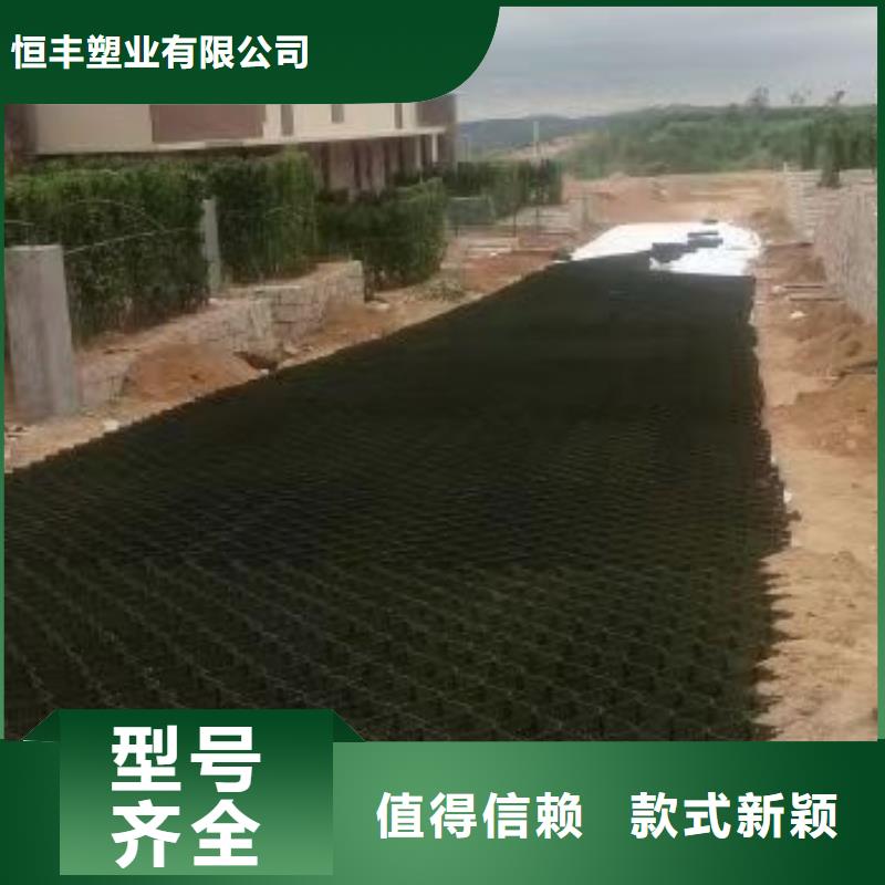 忻州土工格室厂家价格哪个好-土工格室厂家价格列表