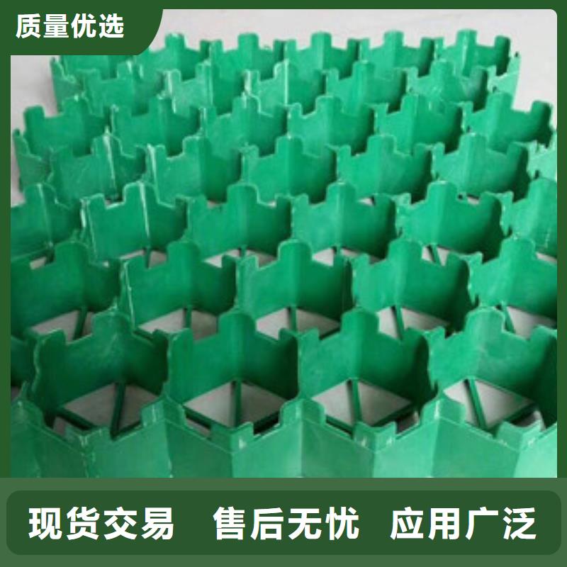 多种规格生产厂家塑料植草格生产厂家招代理