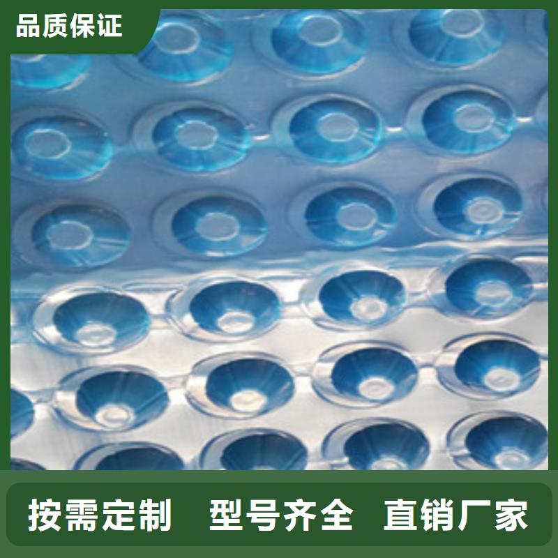 塑料排水板排水板厂家自营品质有保障
