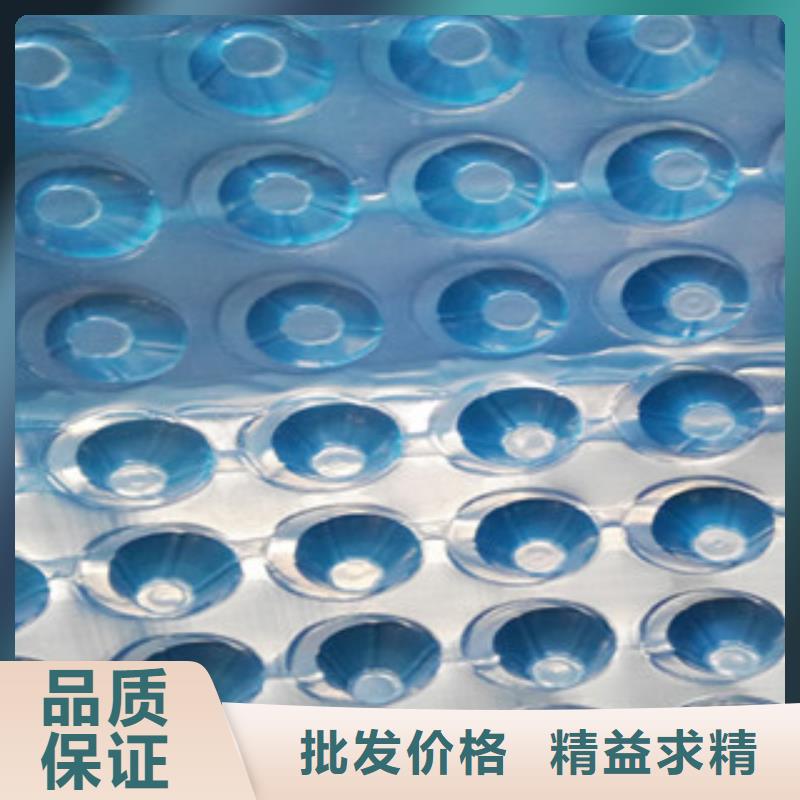 厂家直销排水板原理塑料蓄排水板厂家pvc排水板