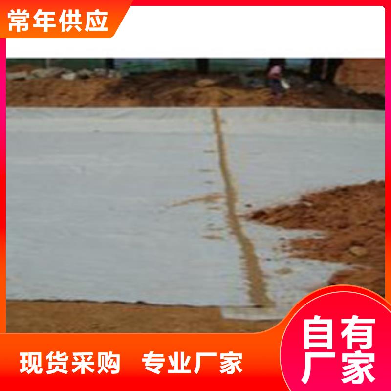 4500g膨润土防水毯厂家直销量大从优一手货源一手带发