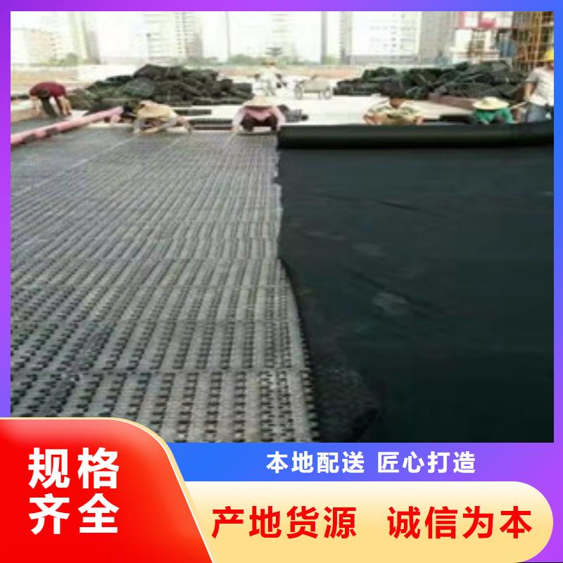 3公分蓄排水板富泰土工材料有限公司厂家价格